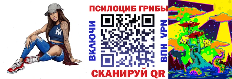 купить наркотик  Белоярский  Псилоцибиновые грибы Psilocybe 